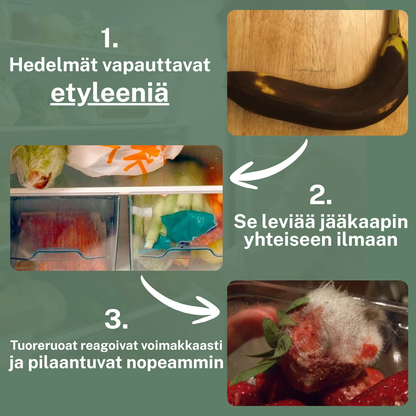 Tuoresuoja Etyleenisuodatin