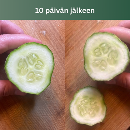 Tuoresuoja Etyleenisuodatin